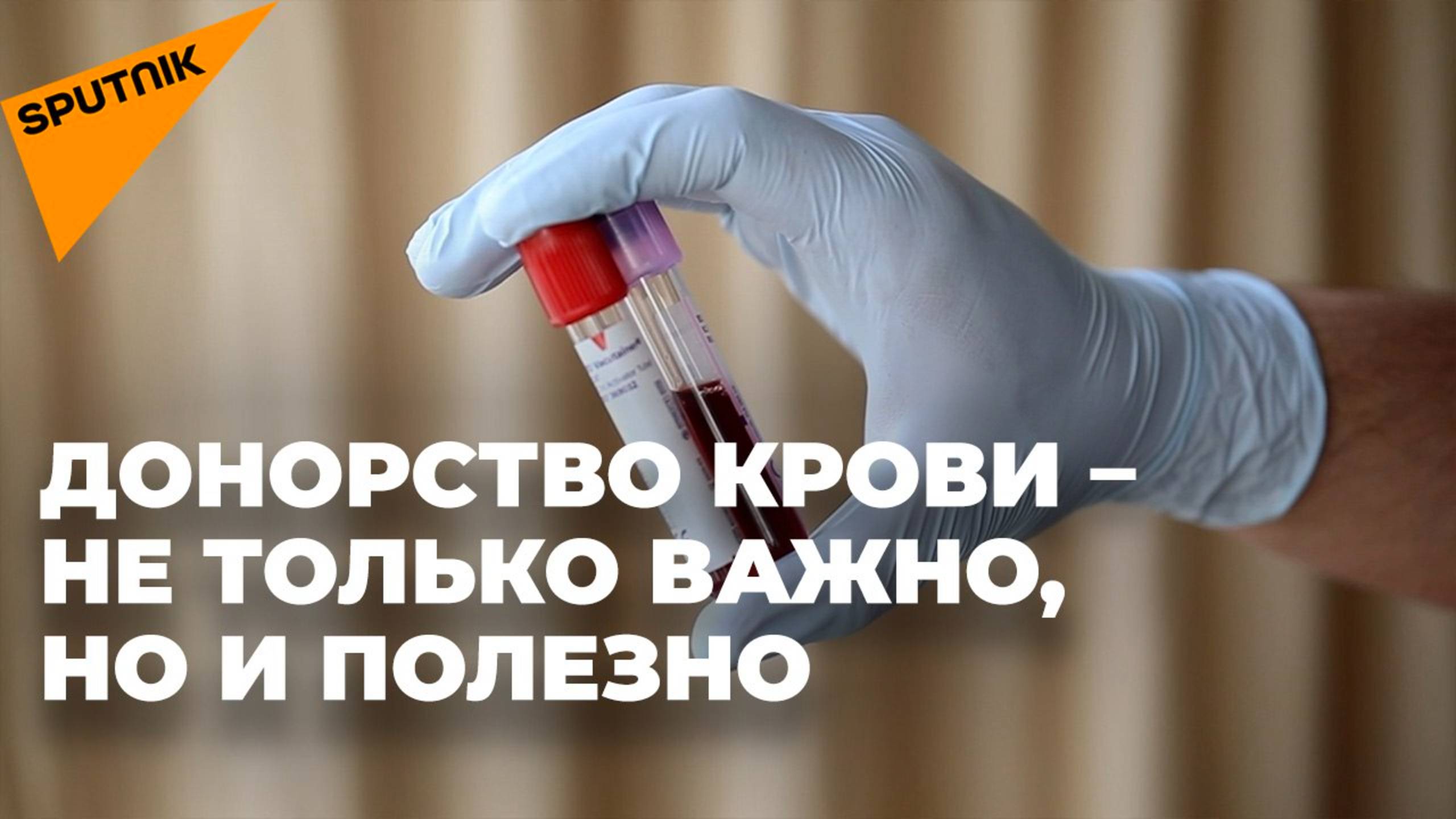 Донорство крови в Грузии: правила, условия и закон