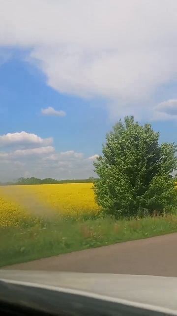 Солнышко в ленту...