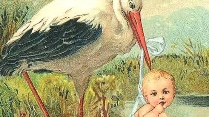 13.06.25:"Рекурсия грезы 3-4 летнего возраста в оторванной вершине тетраэдра"