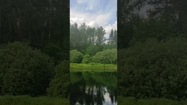 Евангелие от Иоанна глава 2 стих 13-25