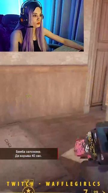 Не Умею Стрелять) #cs2 #girl #cute #streamer #counterstrike2 #wafflegirlcs #csgo #gaming #twitch