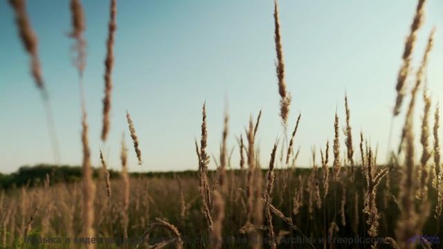 Это видео - как глоток чистого воздуха и энергии! - Undone -- Bus Window -- Flying High