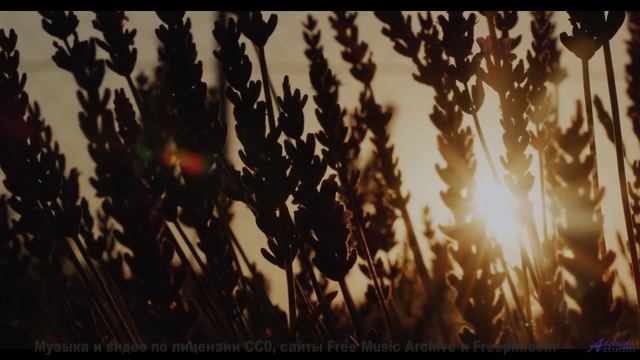 Эта музыка в сочетании с природой сведёт с ума - Rolling On -- Duncan Reid and the Big Heads -- Live