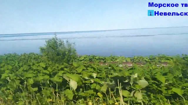 На автобусе со стороны моря от посёлка Зырянское до города Невельск