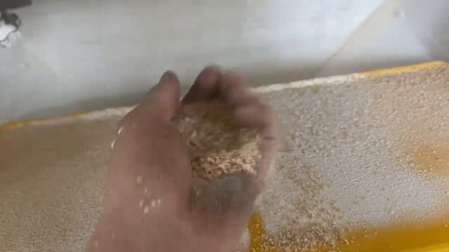 1000002272.mp4