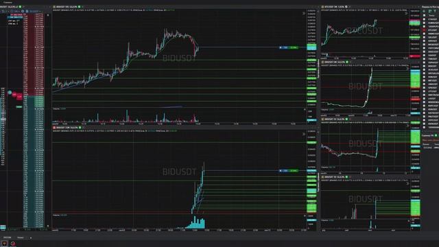 24-Bidusdt-Long-Profit-09-06-2025-14-40-07