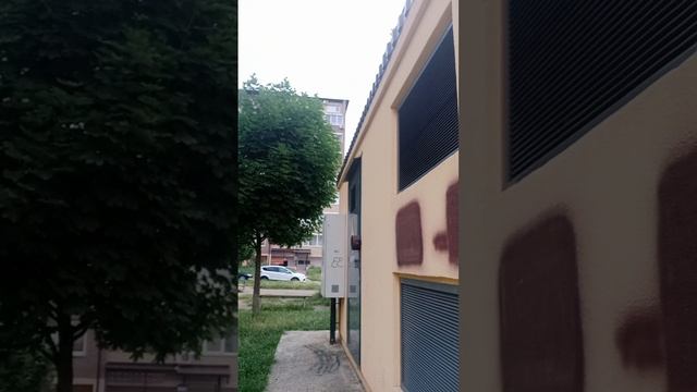 игра в лису