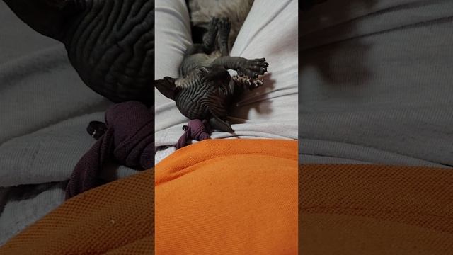 1000062583.mp4