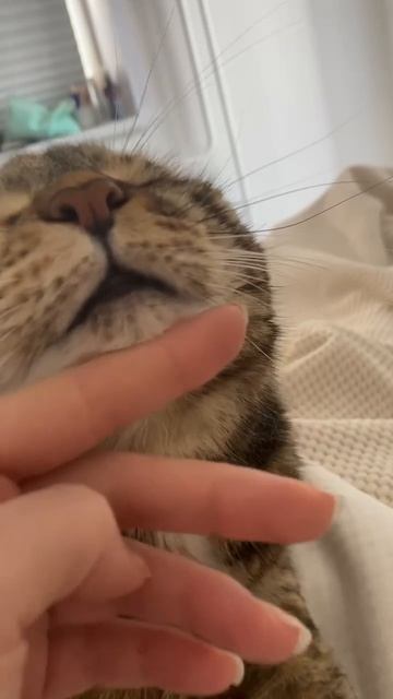 ДОБРОЕ УТРО
