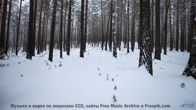 Глаза цепляются за кадры, уши ловят каждый аккорд - Praying For A Path Out -- Kirk Osamayo -- Season
