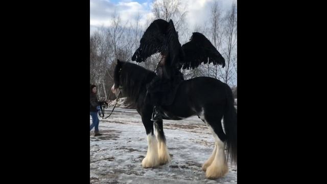 black angel