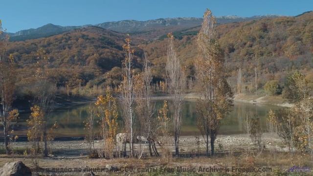 Душа замирает, когда музыка льётся на фоне лесов - Self Forgiveness -- Kirk Osamayo -- Season Two (Y
