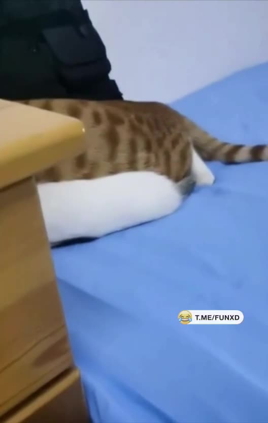 Это любовь😄