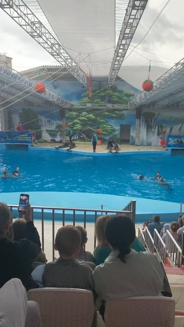Дельфинарий 🐬