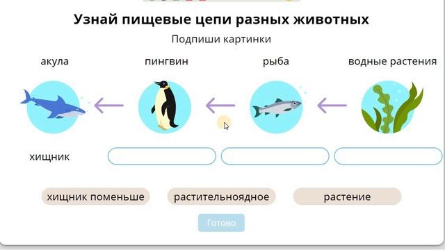 6 Животные