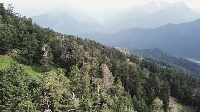 Видео, которое лечит депрессию - научный факт! - Wasted Hours -- Ayla Nereo -- Beheld