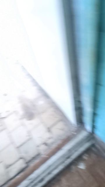 оно вылезло