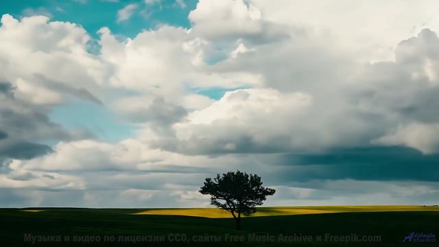 Прогуляйтесь под эту мелодию - и день станет незабываемым! - 27 Years -- Taylor Poe -- 10 Million Ba