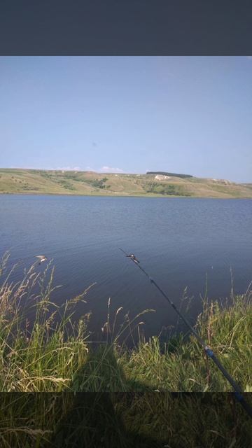 Сенгилей. Рыбалка. Пернатые на удочке 🤫