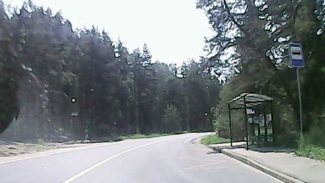 004-berez-poima4