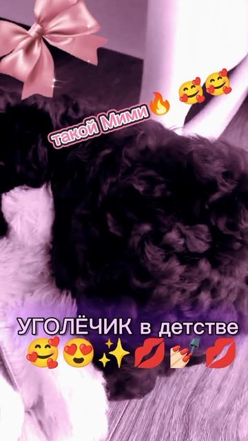 моя собака в детстве🥰🥰🥰