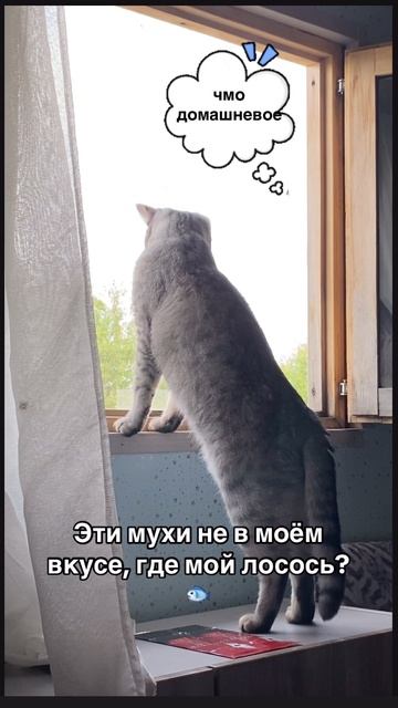 14-06-2025