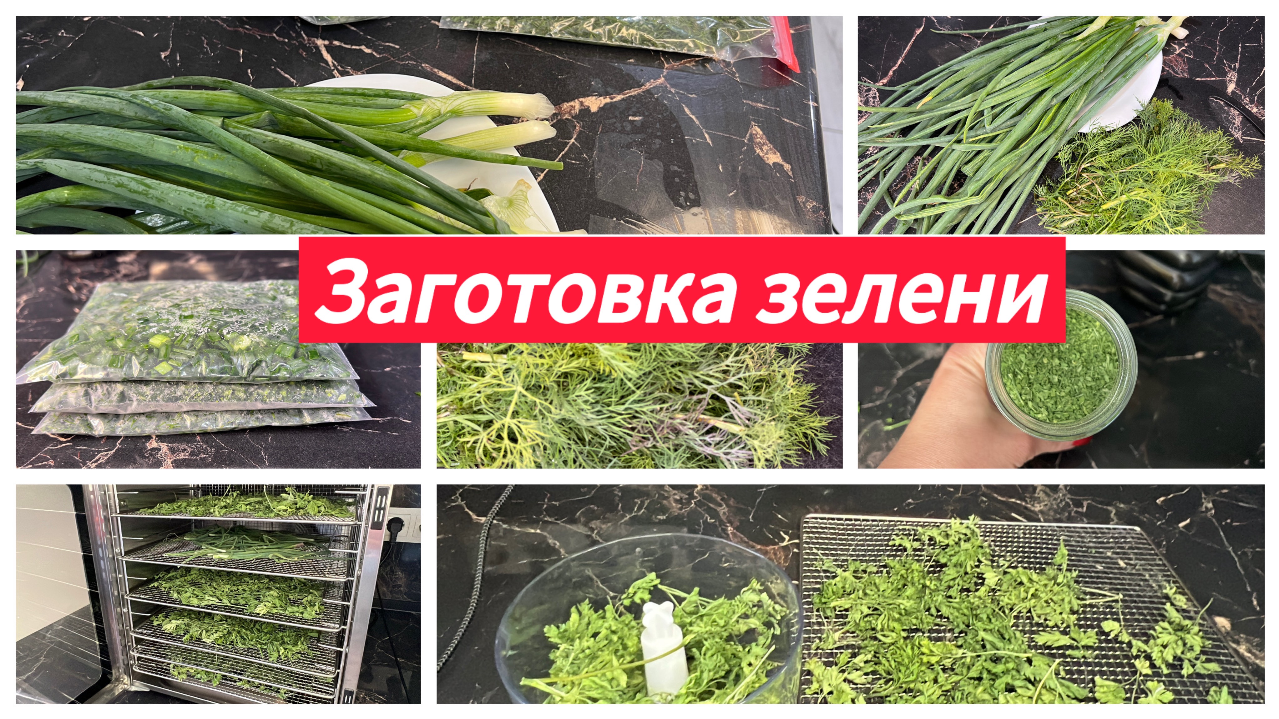 Заготовка зелени на зиму