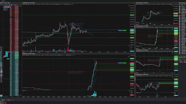 9-Bidusdt-Long-Profit-09-06-2025-13-52-23