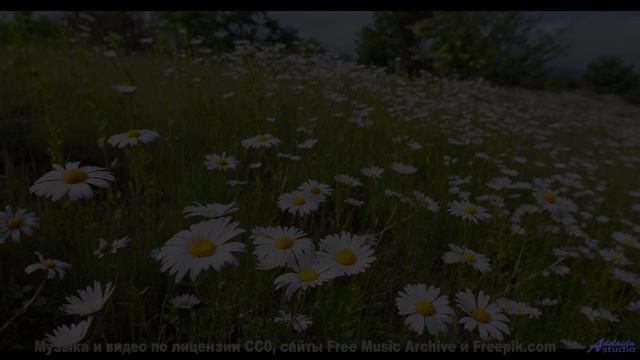 Трек, который вы включите, когда в сотый раз свернёте с маршрута - What Is This Thing Called Love --