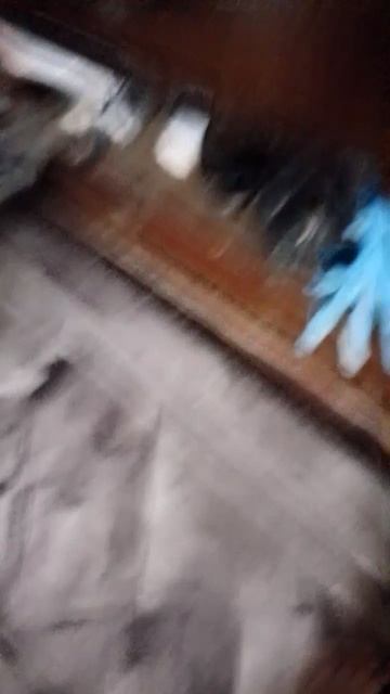 1000012296.mp4