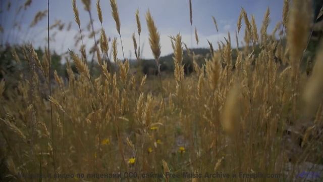 Он заставит тебя верить в чудеса снова! - Reflejo -- Mar Virtual -- Mar Virtual 2