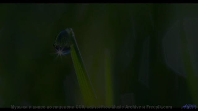 Видео, которое смотрит искусственный интеллект - и вот что он видит! - Red Skies -- HoliznaCC0 -- Ch
