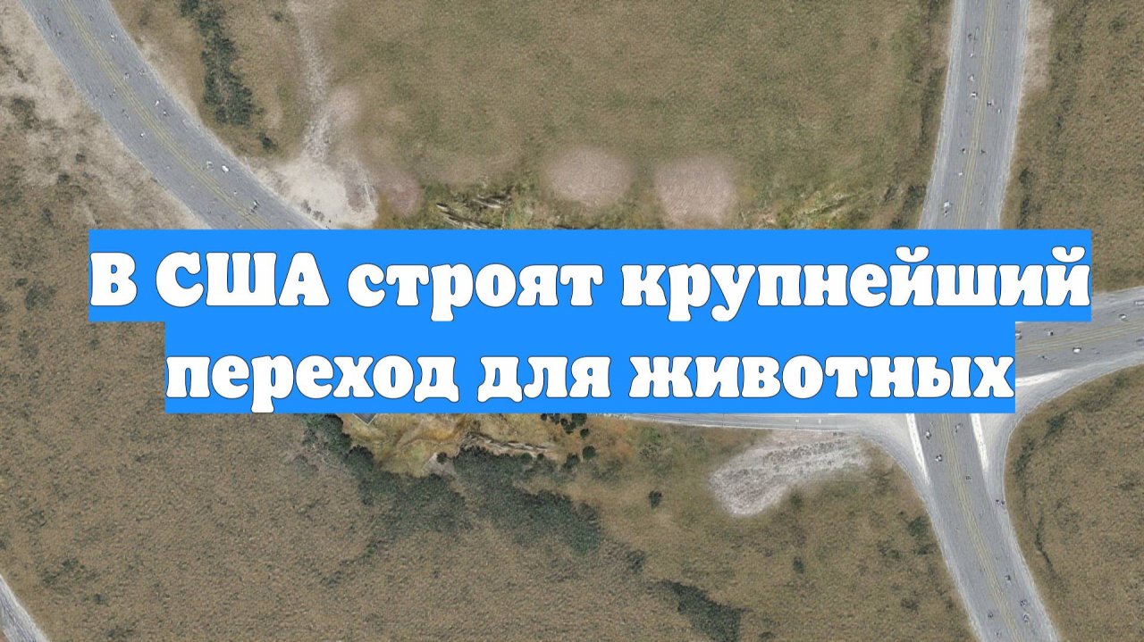 В США строят крупнейший переход для животных