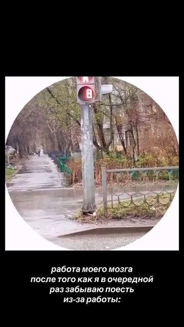 прогрузка мозга