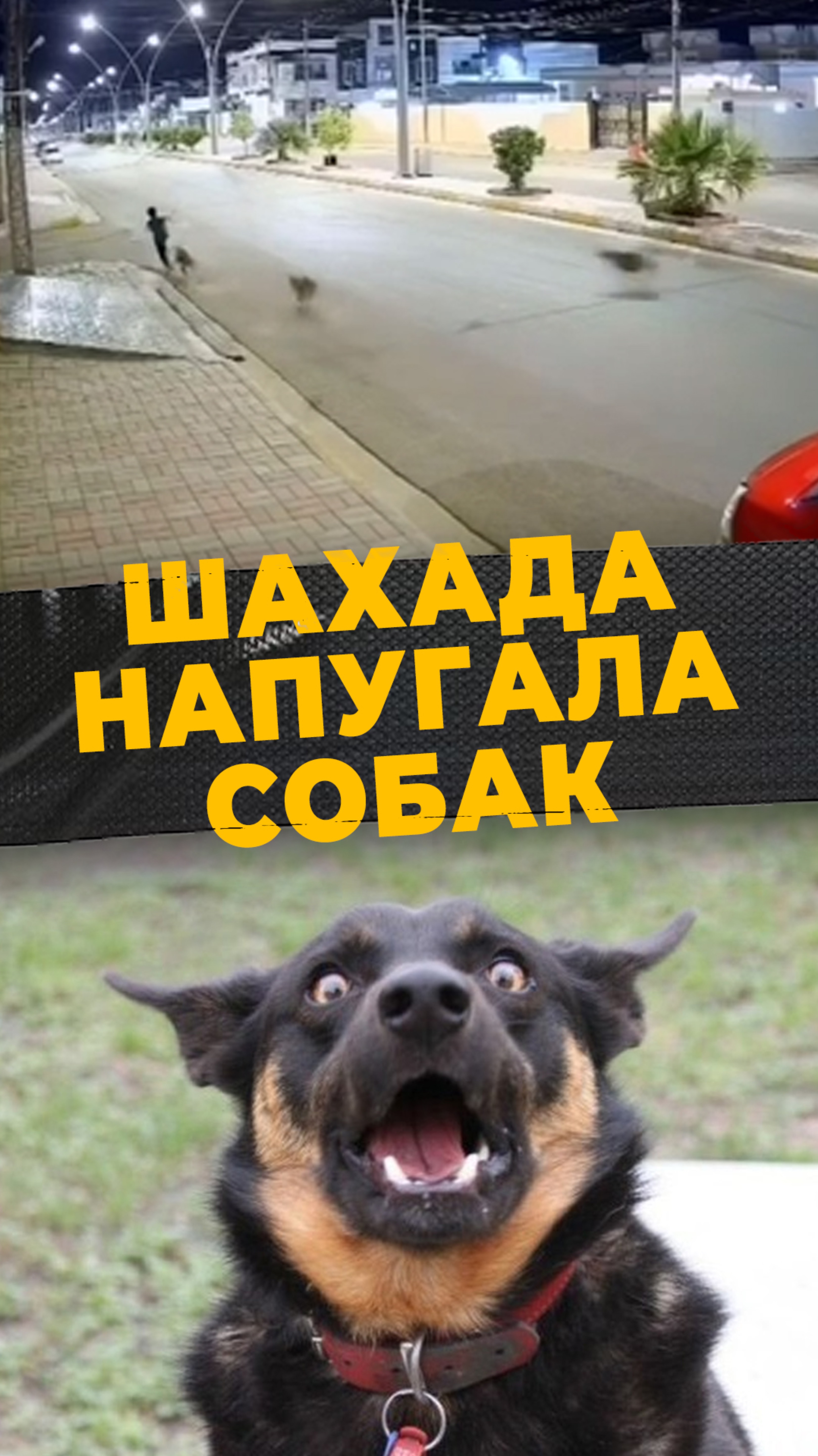 СИЛА ВЕРЫ
#мирадио