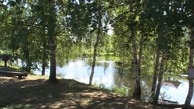 Мы в Костроме летом 2012