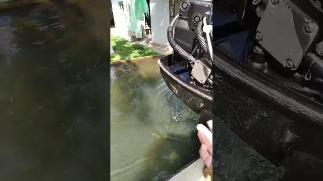1000014723.mp4