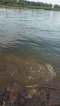 рыбалка на реке белой