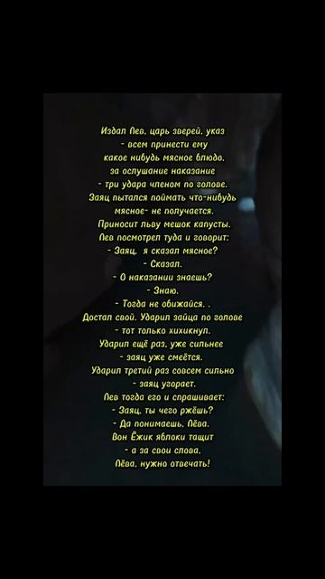про ёжика 🤣