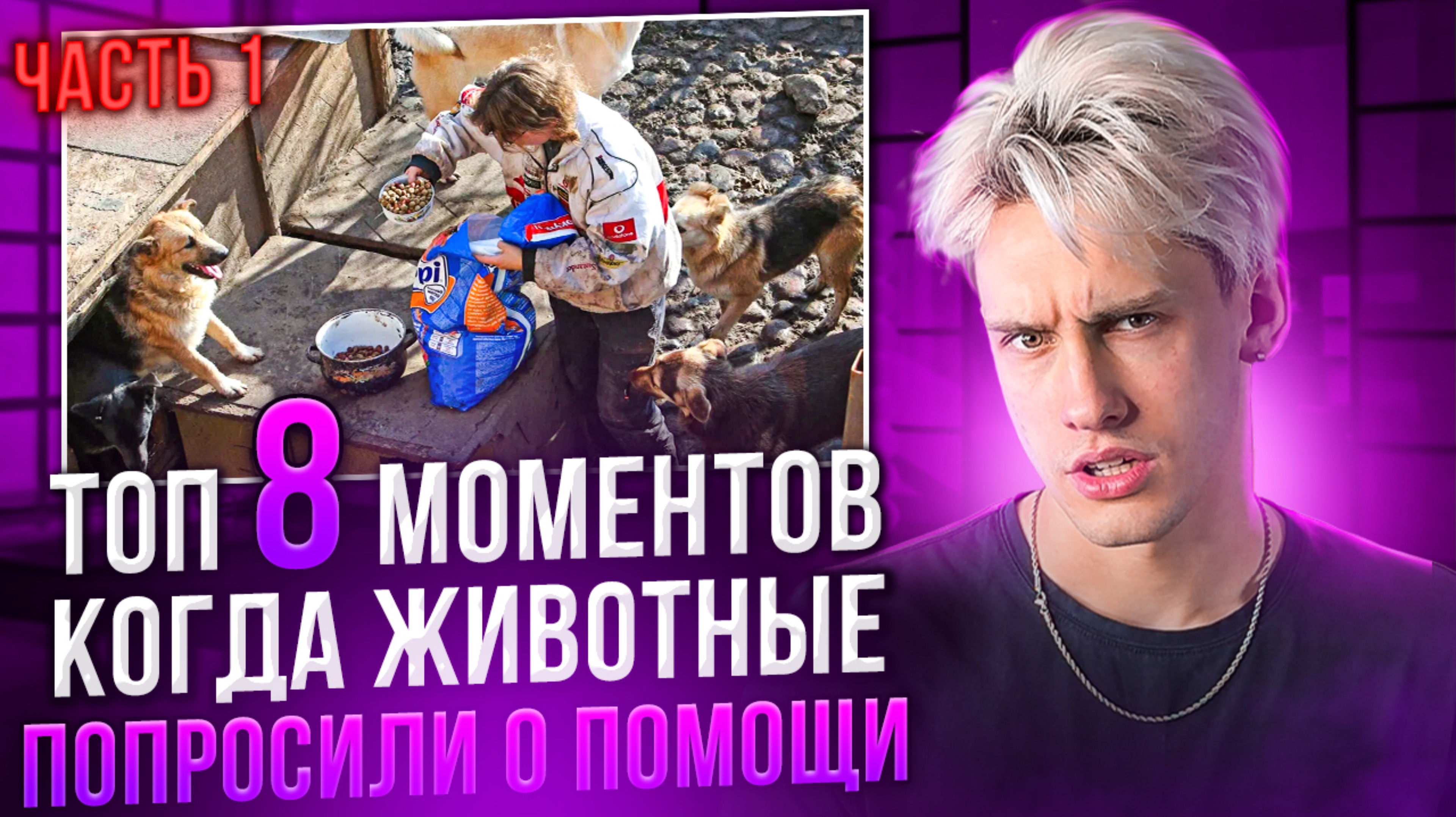ТОП 8 МОМЕНТОВ, КОГДА ЖИВОТНЫЕ ПОПРОСИЛИ О ПОМОЩИ! ЧАСТЬ 1!