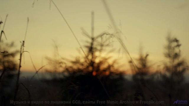 Леса звучат как личный саундтрек к мечтам - 03 Back-da-Fook-Up -- Shaolin Dub -- Preservation