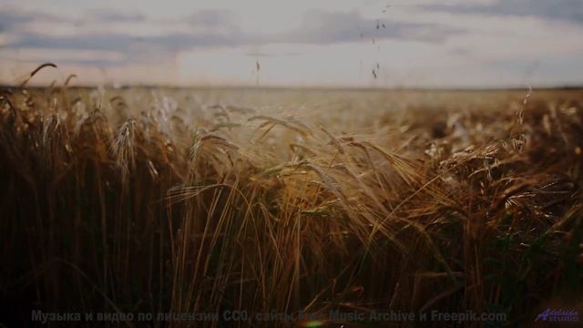 Вы не сможете усидеть дома после этого видео! - Final Goodbye -- Kirk Osamayo -- Season Two (RED)