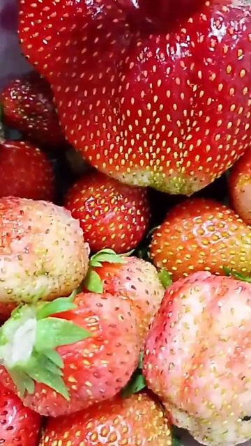 Клубника поспевает. Что приготовить из летнего урожая.