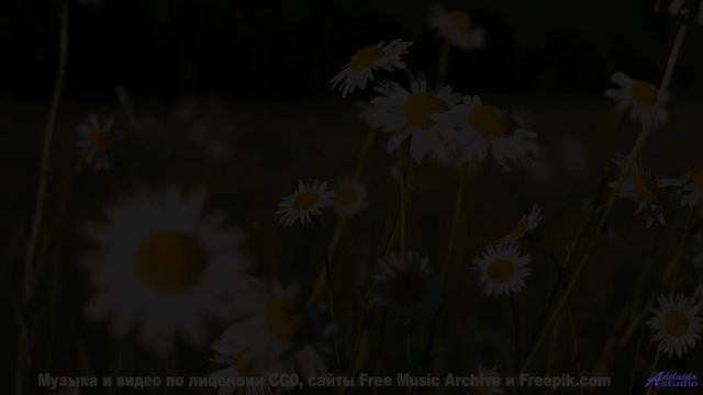 Когда музыка и пейзажи сливаются в один шедевр! - 05 Avecitos ft. Shira Netanya, Avi Burg - Master -