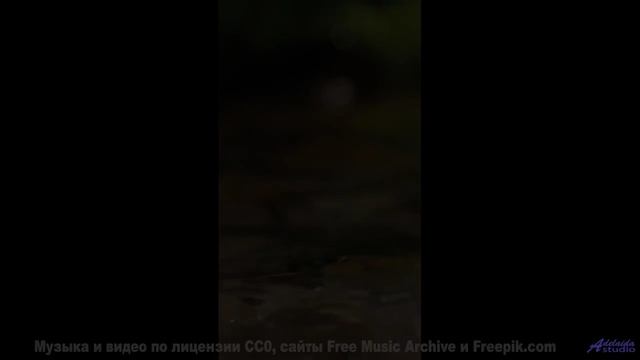 Леса оживают как картина на этой музыке - Red Skies -- HoliznaCC0 -- ChipTunes