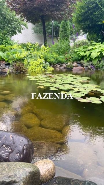 Все про сад и огород ➡️ https://t.me/fazenda_tatiana