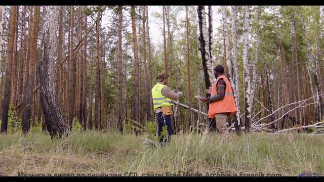 Ощущение полёта длится столько, сколько звучит трек - Americana -- HoliznaCC0 -- Rock Montage