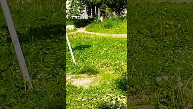Я иду искать