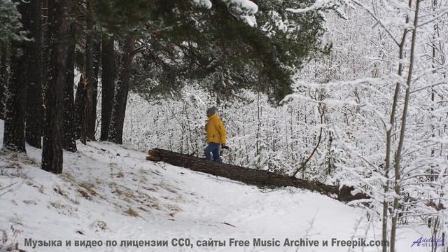 Ты НЕ ЗНАЛ, что так бывает! - A Play on Words -- Les Hayden -- Home