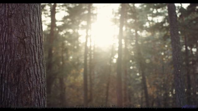 Под эту музыку даже лес выглядит как сказка - Inspiring Corporate -- Scott Holmes Music -- Corporate